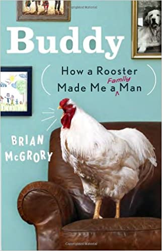 Book cover of Buddy: How a Rooster Made Me a Family Man by Brian McGrory